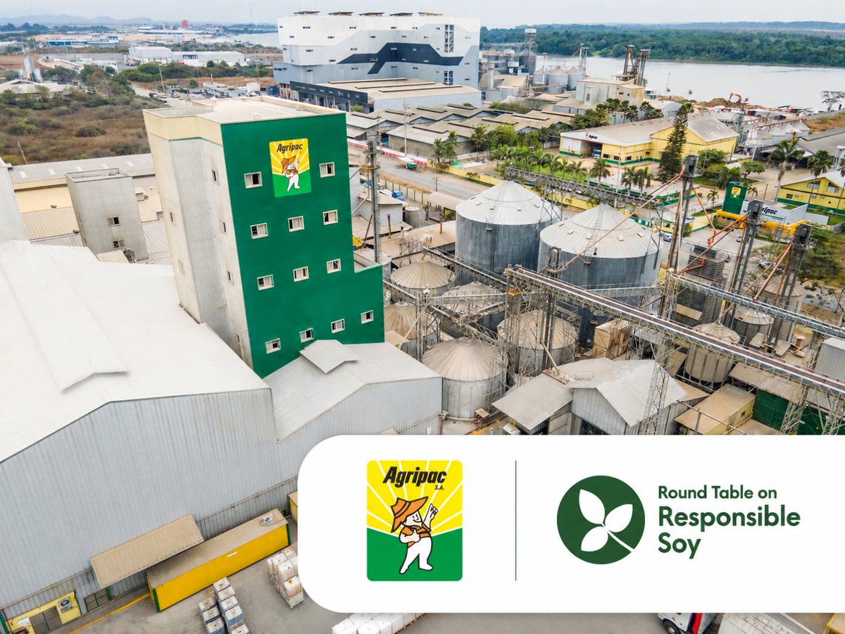 Cemdes's tweet photo. Un abastecimiento responsable fortalece cadenas de valor más sostenibles y resilientes. AGRIPAC S.A. reafirma su compromiso con prácticas que generan impacto positivo para el sector productivo y el desarrollo sostenible. Leer más 👉 https://t.co/9r7ujqbpm9 https://t.co/gPx9rD1qWt