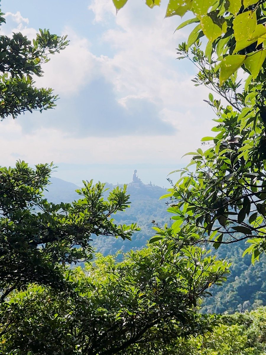 cedricpatterson's tweet photo. Just wrapped up a 1-day hiking trip at the mountain trail! Fresh air, scenic views and a much-needed break from the city. https://t.co/kE9iH5f61M