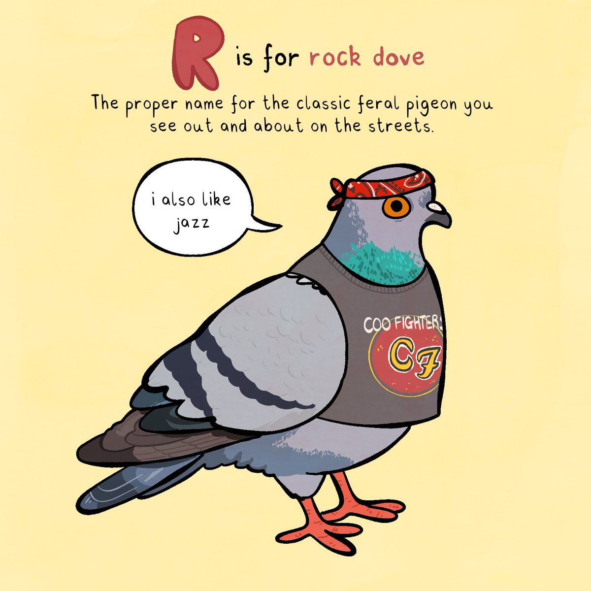 charlubby's tweet photo. it's national pigeon day but you should appreciate them every day ⭐️ here are some fun facts from my zine 'the ABCs of pigeons' which is in stock in my etsy! make sure u smile at a pigeon today x https://t.co/vr8a4DjWw3