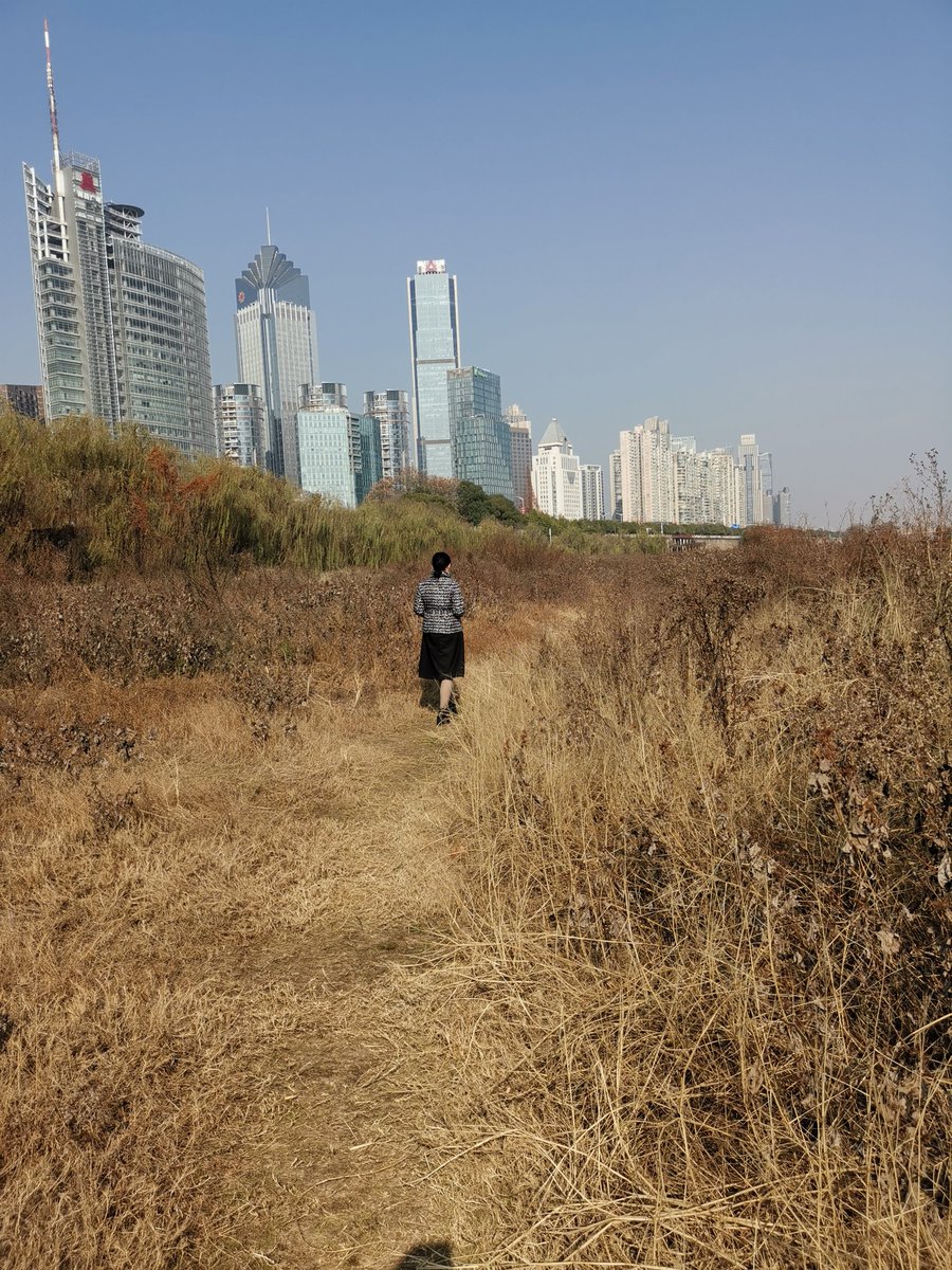 vini_em's tweet photo. Push past the doubt, chase that next win—your growth only happens outside your comfort zone. https://t.co/cxakL491sw