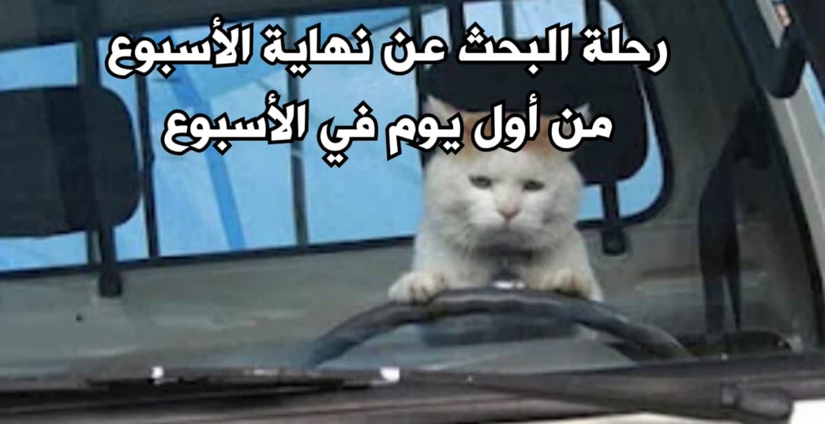 egymeme11's tweet photo. https://t.co/QgnMXCV33S