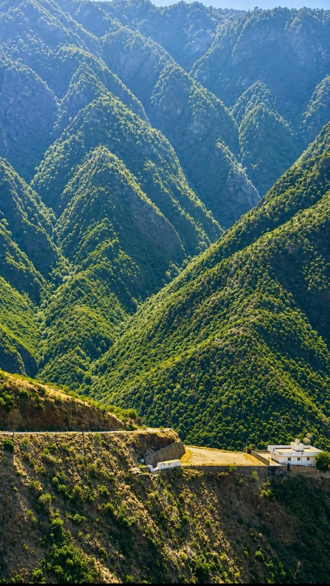 saudi_1ive's tweet photo. 🌅 جبال حسوة بمحافظة رجال ألمع بمنطقة عسير..

Haswah Mountains in Rijal Almaa Governorate, Aseer Region. https://t.co/iFYMFoR1c0