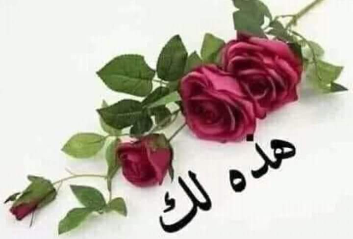 Abu_Aboudi tweet media