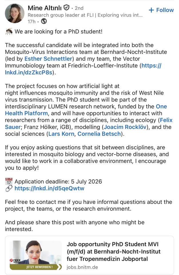 MrsScotty_M's tweet photo. looking for a PhD student!

The successful candidate will be integrated into both the Mosquito-Virus Interactions team at Bernhard-Nocht-Institute (led by Esther Schnettler) and my team, the Vector Immunobiology team at Friedrich-Loeffler-Institut.

The project focuses on how artificial light at night influences mosquito immunity and the risk of West Nile virus transmission. The PhD student will be part of the interdisciplinary LUMEN research network, funded by the One Health Platform, and will have opportunities to interact with researchers from a range of disciplines, including ecology (Felix Sauer; Franz Hölker, iGB), modelling (Joacim Rocklöv), and the social sciences (Lars Korn, Cornelia Betsch).

If you enjoy asking questions that sit between disciplines, are interested in mosquito biology and vector-borne diseases, and would like to work in a collaborative environment, I encourage you to apply!