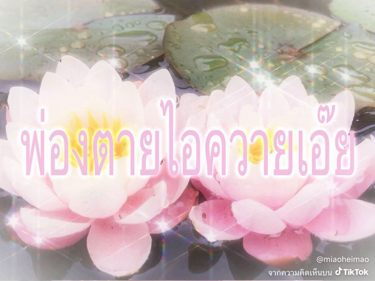 IDFTI5L's tweet photo. https://t.co/wle4jvTKyW