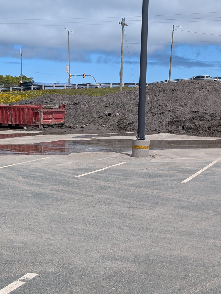 MaxLittle92's tweet photo. I wonder if the trout are feeding on flies attracted to the 50/50 dirt/snow (with a touch of road salt) Avalon Mall snowbank? #nlwx https://t.co/VC5psKh20E