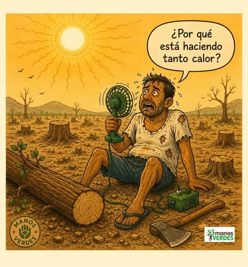 elchituri's tweet photo. https://t.co/QNzSd4P3Lk