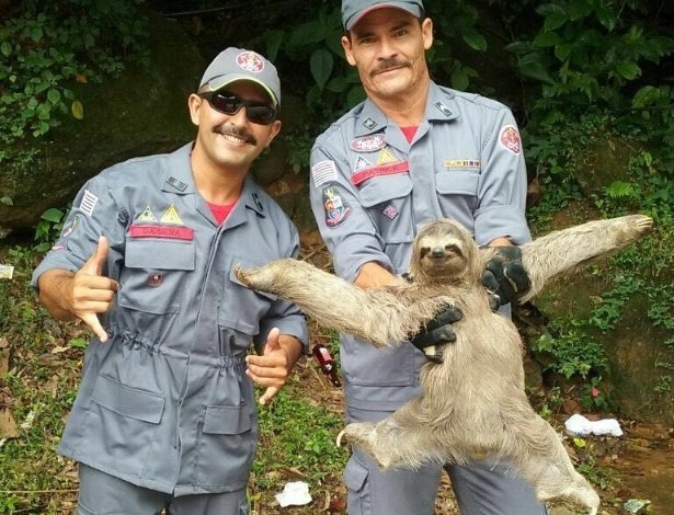 luziadosol's tweet photo. @leowhocares_ @CoeKurupi A criança igual à preguiça resgatada kkkkkkk https://t.co/oqafyb84h2