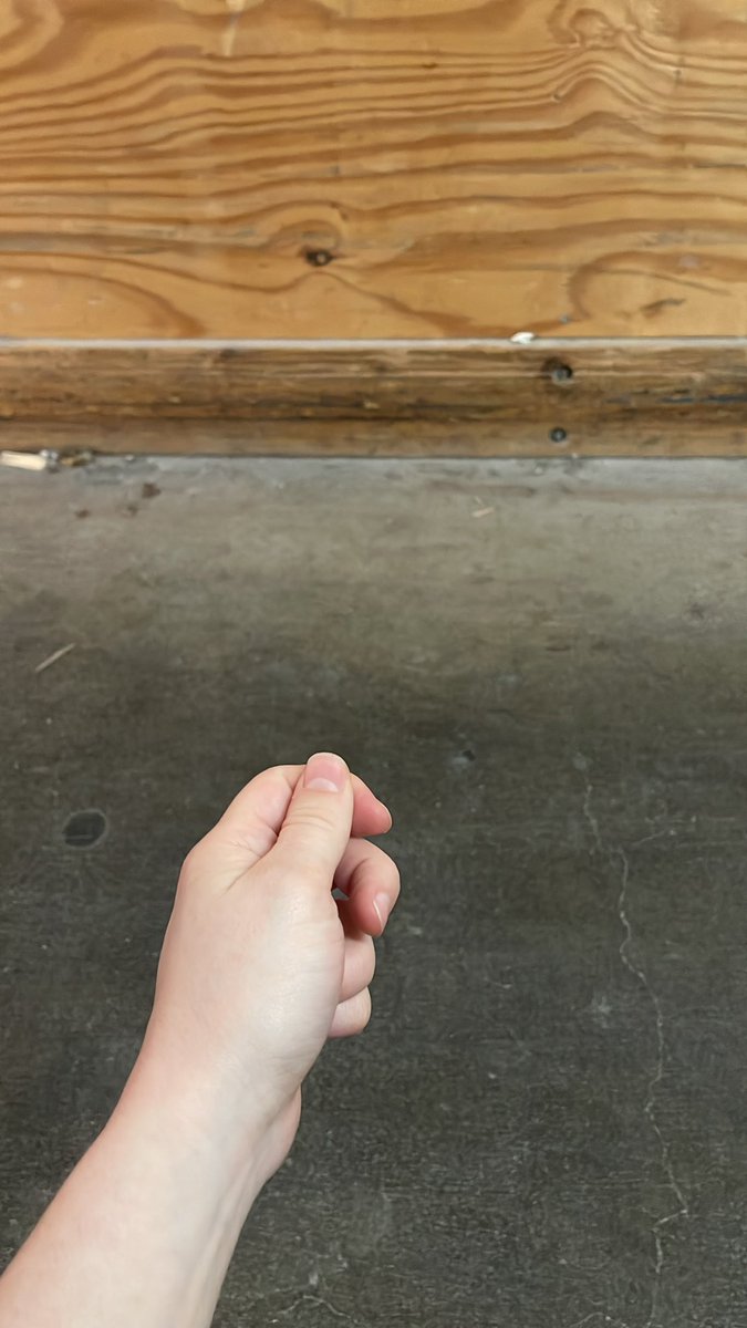 _kirination's tweet photo. went to go do a little oshiposting on my break but i forgot my cheki at home so please just imagine I’m holding a beautiful cheki of kiri here https://t.co/X6djyDfisi