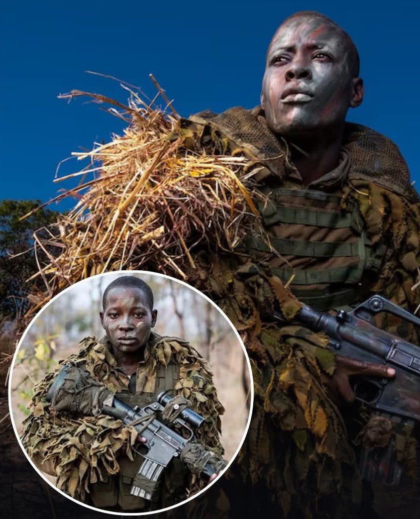 histories_arch's tweet photo. In Zimbabwe operates Akashinga, a unique group of rangers whose name translates to "the brave ones" in the Shona language.

This specialized unit is composed of rural women, including single mothers and survivors of domestic violence, rigorously trained to patrol nature reserves.

The project was founded in 2017 by the International Anti-Poaching Foundation to directly confront heavily armed poachers.

Today, these brave women protect massive territories of wilderness that serve as critical habitats for endangered populations of African elephants.

The initiative has achieved a historic ecological impact by successfully reducing elephant poaching by more than 80% within their operational zones.

Beyond saving wildlife, this model effectively fosters female leadership and creates valuable economic opportunities for local communities.

#archaeohistories