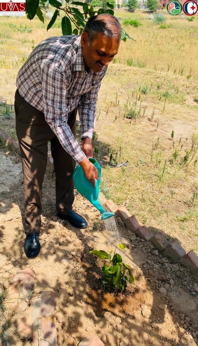 OHS_Naowal_'s tweet photo. 🌱 Action > Words. CARES Society & ONE HEALTH Society teamed up for an Awareness & Plantation Drive! We aren't just talking about environmental safety—we are planting the seeds for a greener, healthier future. 🌍💚
#GoGreen #PlantationDrive #OneHealth #CARESSociety https://t.co/35EIQwOKIu