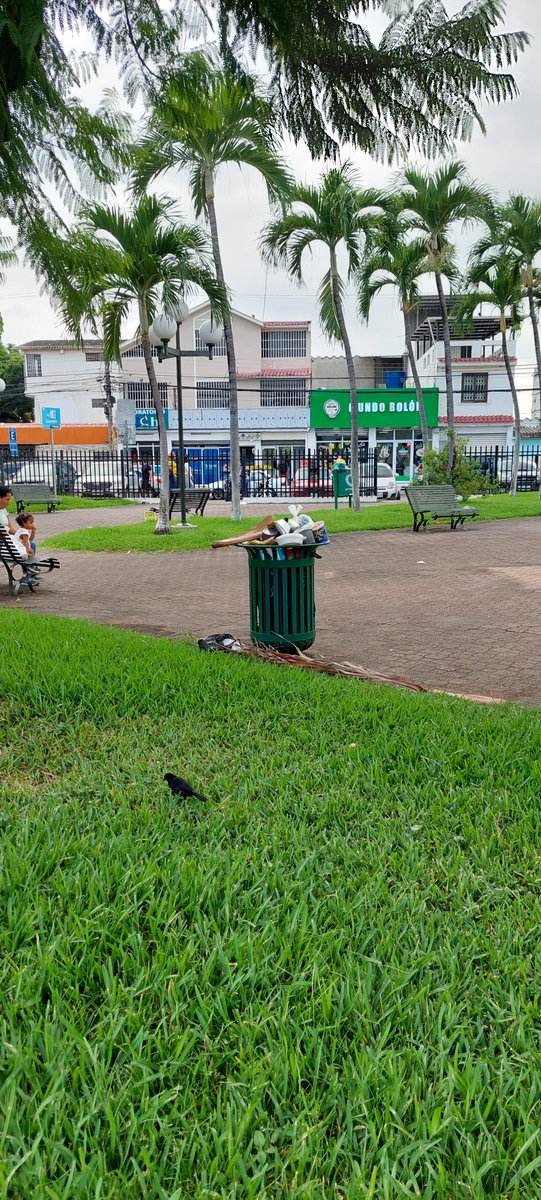 dannyfap1980's tweet photo. @parquesgye
@urvaseo Estimados, buenas tardes. Agradecemos su acercamiento de manera urgente al Parque Rodolfo Baquerizo Nazur, Alborada etapa 12, junto al CC Gran Albocentro para la recolección de basura en los tachos https://t.co/Sx9wdEQ8iB