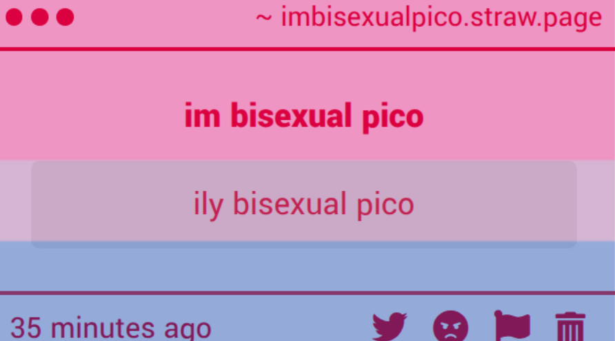 bisexual pico tweet media