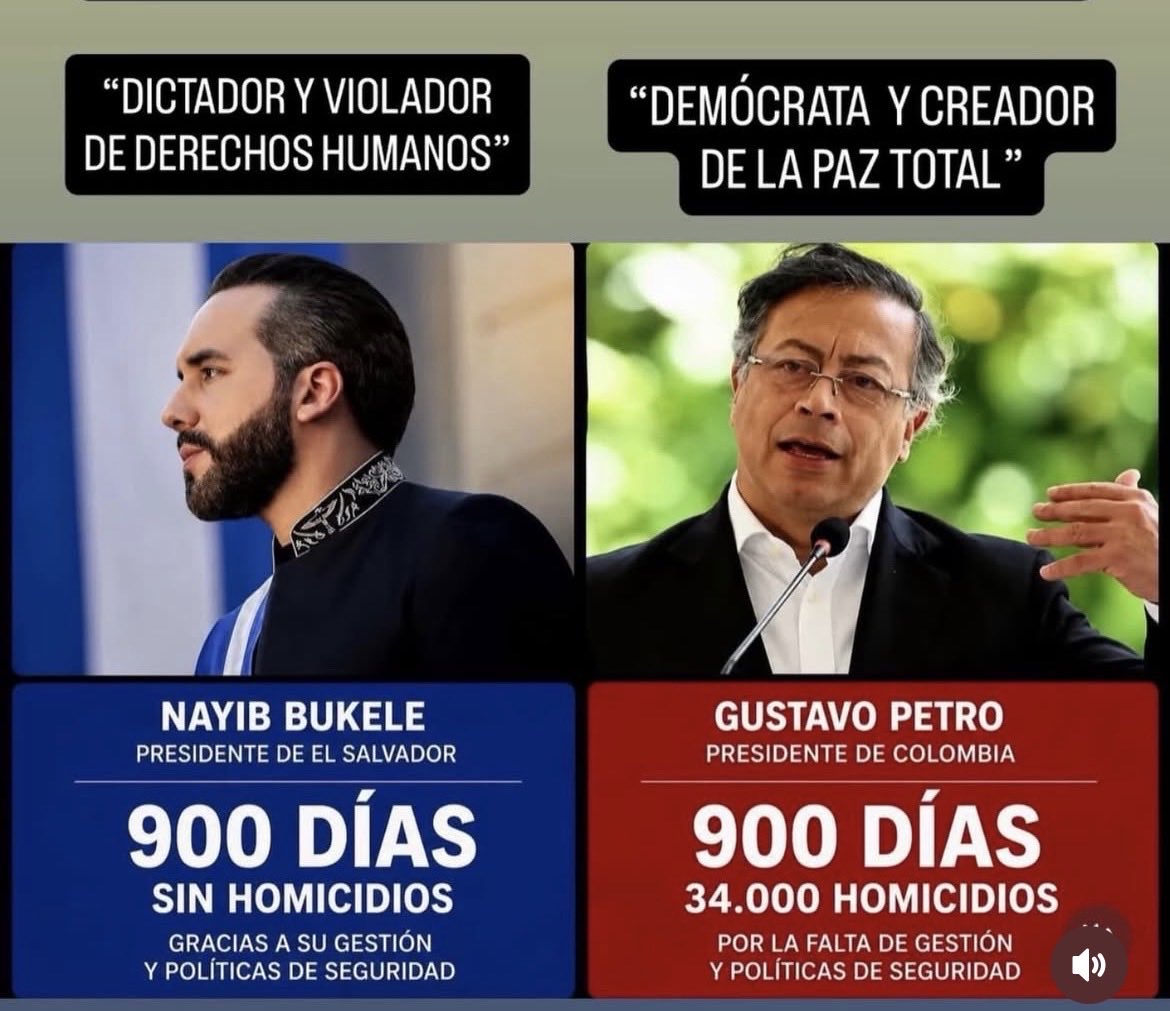 Carlos Hermann Bruch 🌴 tweet media