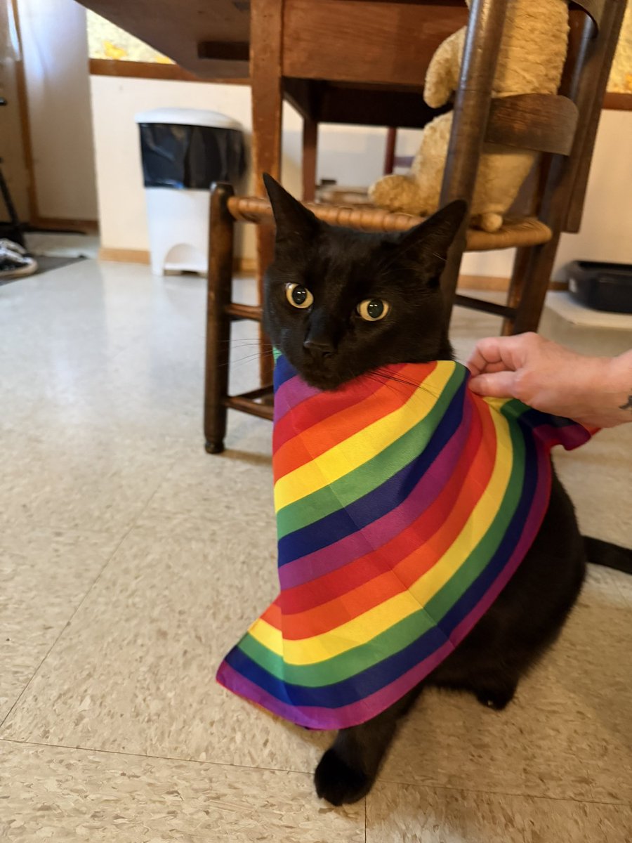 JasonDamien93's tweet photo. North Haven Pride part 2 of 2 🏳️‍⚧️🏳️‍🌈 #Pride #PrideMonth #Trans #Nonbinary https://t.co/3P1rcqxNbc