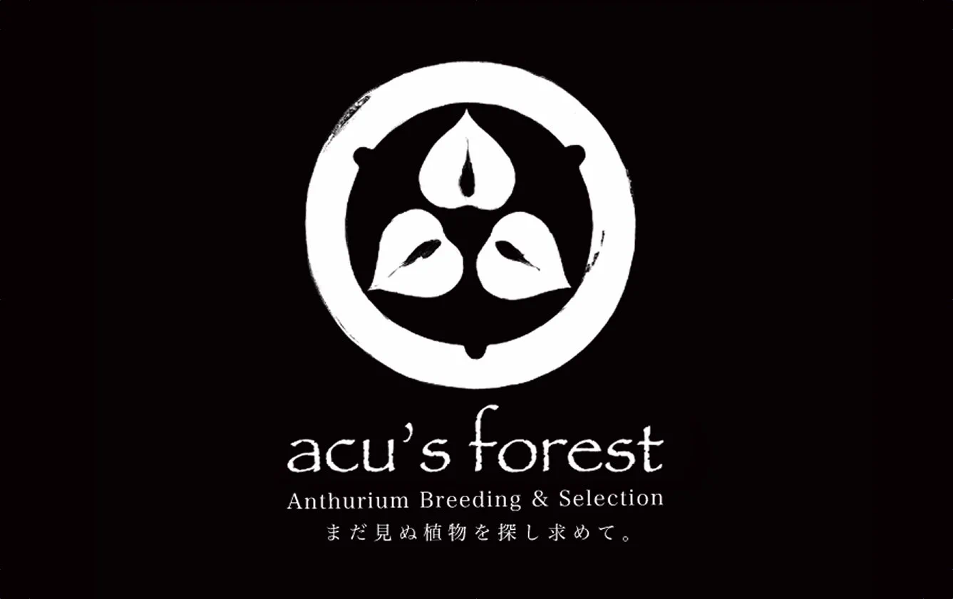 ぽん（acu's forest） (@acupom219) / X