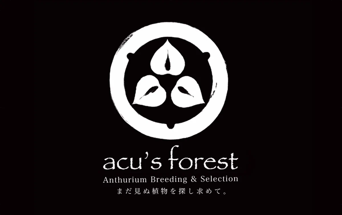 ぽん（acu's forest） (@acupom219) / X