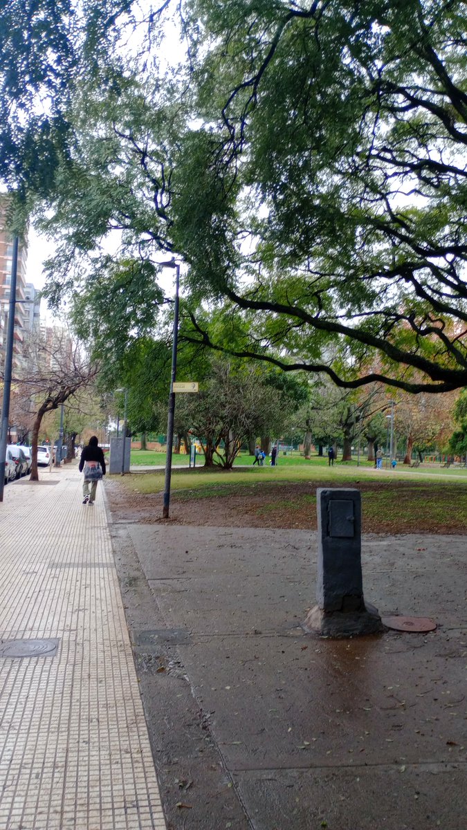 haecsr's tweet photo. tuve que sacar la primera foto rapidísimo porque nadie se tomaba el mismo que yo, pero fue graciosísimo el hecho de haber esperado 10 minutos el colectivo y que de la nada llegarán 8 unidades juntas https://t.co/aVUyz0yQgc
