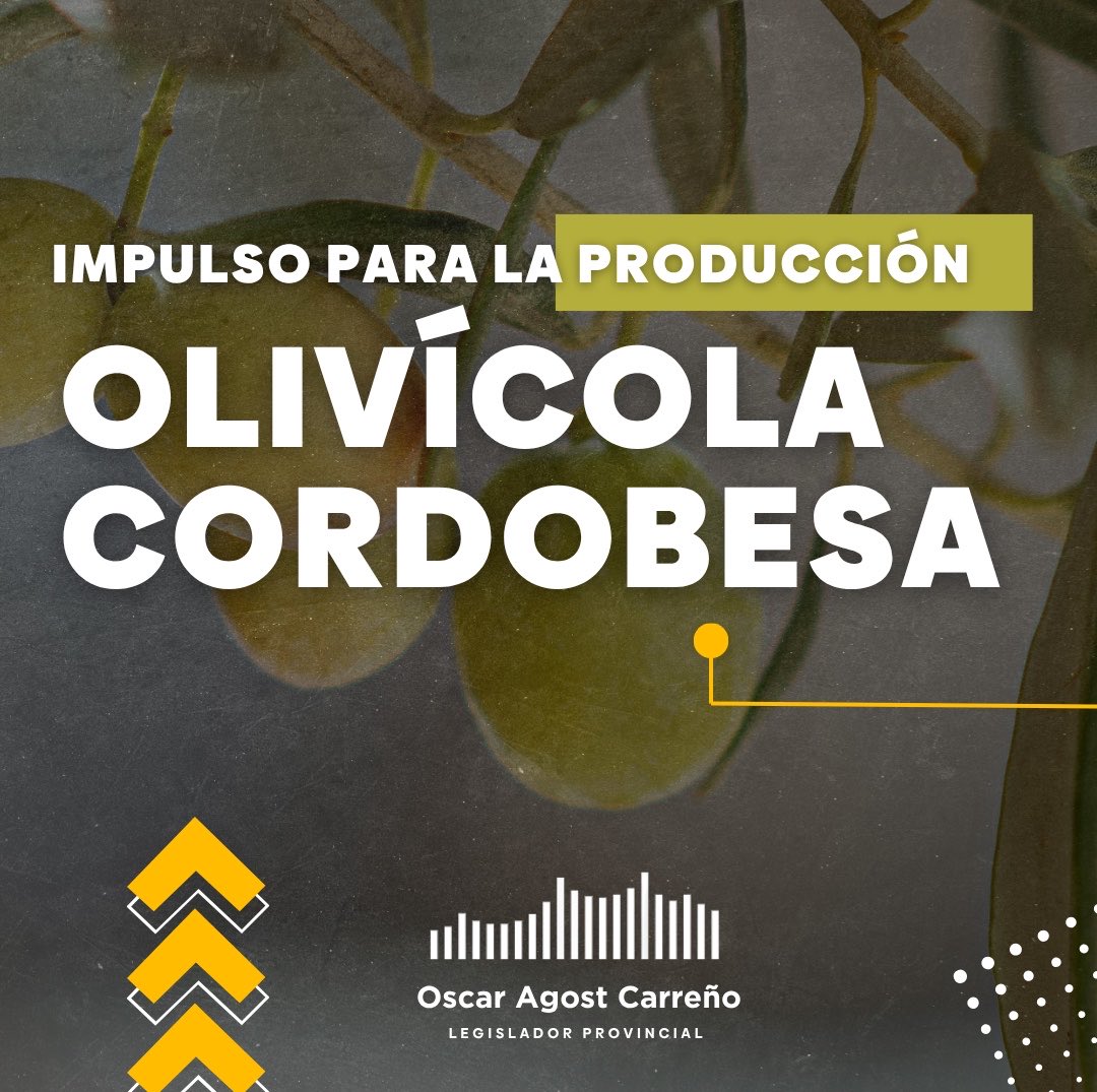 oagost's tweet photo. 🏛️ Presenté un proyecto para crear el Régimen Provincial de Desarrollo y Promoción de la Cadena Olivícola, impulsando producción, innovación, financiamiento, exportaciones y agregado de valor para fortalecer una actividad con gran potencial en Córdoba. 🫒

📄 Proyecto completo:
https://t.co/Cbtiq19MvW