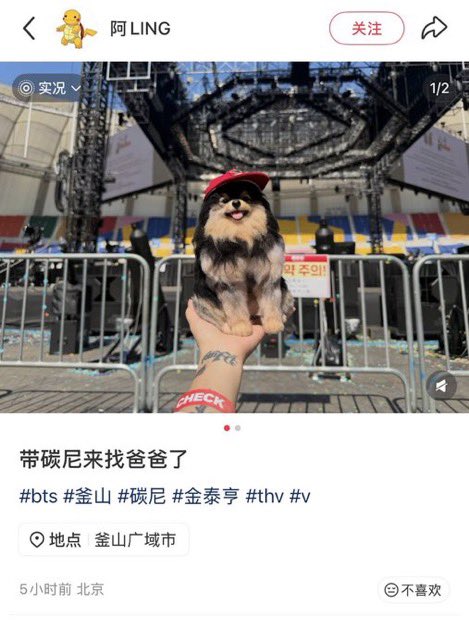 jk_v123_6's tweet photo. ��のヨンタンのぬいぐるみ、先にジョングクが気付いてテヒョンを呼んでくれたんだね🥹

よく出来てるぬいぐるみに、驚くテヒョンとグク。それだけじゃなくてちゃんとタイミングを見ながらそばに行って、自分もそっと触れさせてもらっているその一連の流れに胸がいっぱい😭😭💜💚 https://t.co/tlQrHOEg2U