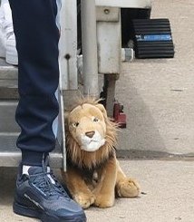 biracati's tweet photo. @England @FIFAWorldCup The fuck is this? hhhh https://t.co/47m6T6Izdq