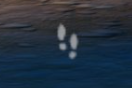 thedomidy's tweet photo. @KiriBuilds I ain't liking this when you're trying to extract it 😭 https://t.co/XJsuVuEVBK