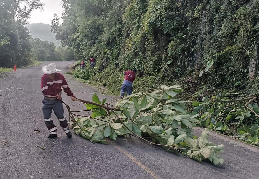 juliomenchaca_'s tweet photo. Realizamos trabajos de limpieza en las zonas laterales del camino Ramal-Pisaflores, en Chapulhuacán 🌳

Estamos mejorando las condiciones de tránsito ante las lluvias intensas, brindando mayor seguridad a quienes diariamente utilizan esta vía.

#PrimeroElPueblo https://t.co/mQJBwjVSAv