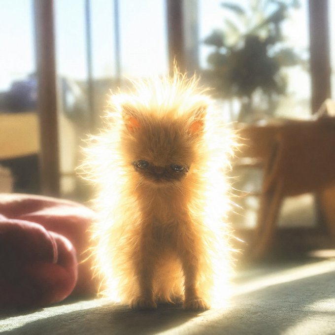 Ni99errrr's tweet photo. Katarina is going insanely viral with 20M views in 2 days

People are comparing her to the famous aura dog meme template, this cat doesnt even need glow

20M + Aura hello???? name proof; https://t.co/5NaLVB9Pxu https://t.co/oxw12IjUyO