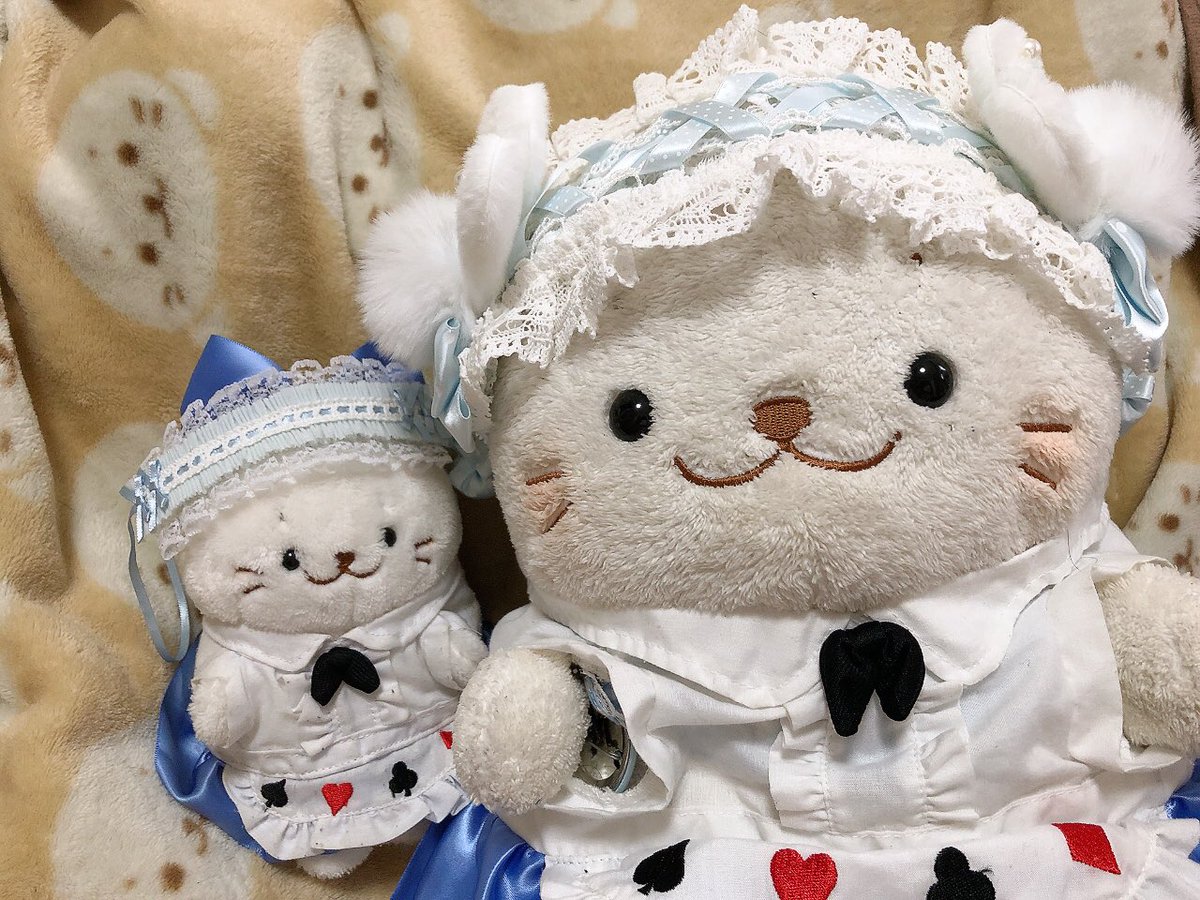 kud1106's tweet photo. https://t.co/U6Dr30mKIN