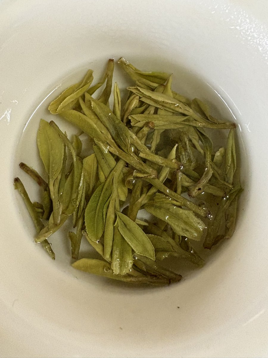 cafero_key's tweet photo. 茶の穂　獅峰龍井茶

明前の群体種。豆のような香ばしさがイキイキと感じられる。旨味がたっぷりで茶液全体がとても甘く感じられます。苦くはなく、深みのある味わいが続く美味しい龍井茶😋 https://t.co/Fhru8tKMY7