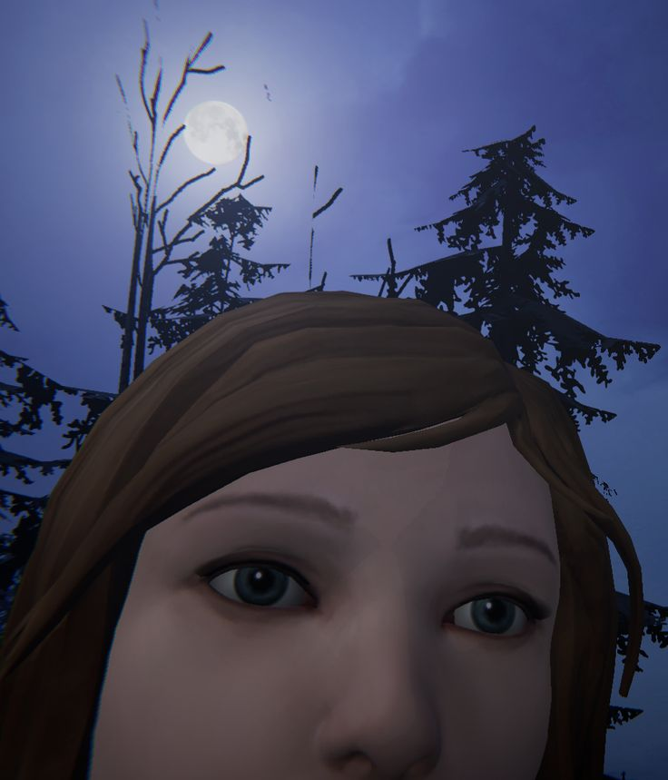 tillytildaa's tweet photo. I have hired them to stare at you https://t.co/xJuL1bcQFw