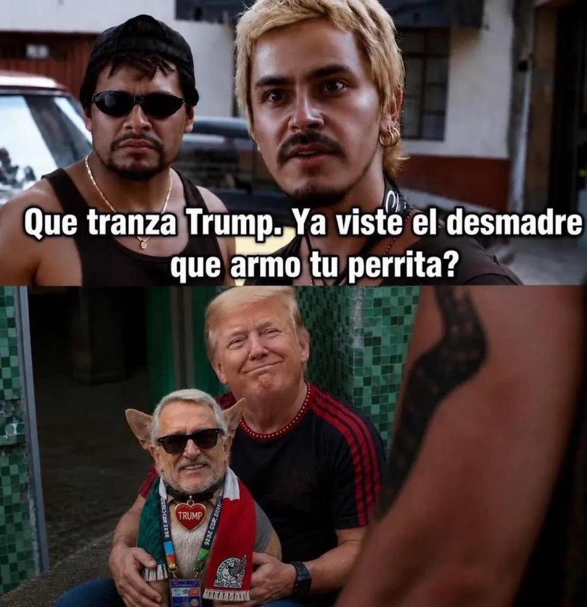 eltemagv's tweet photo. Nuevo meme favorito #LaPerritaDeTrump https://t.co/55WA7ik8Kx