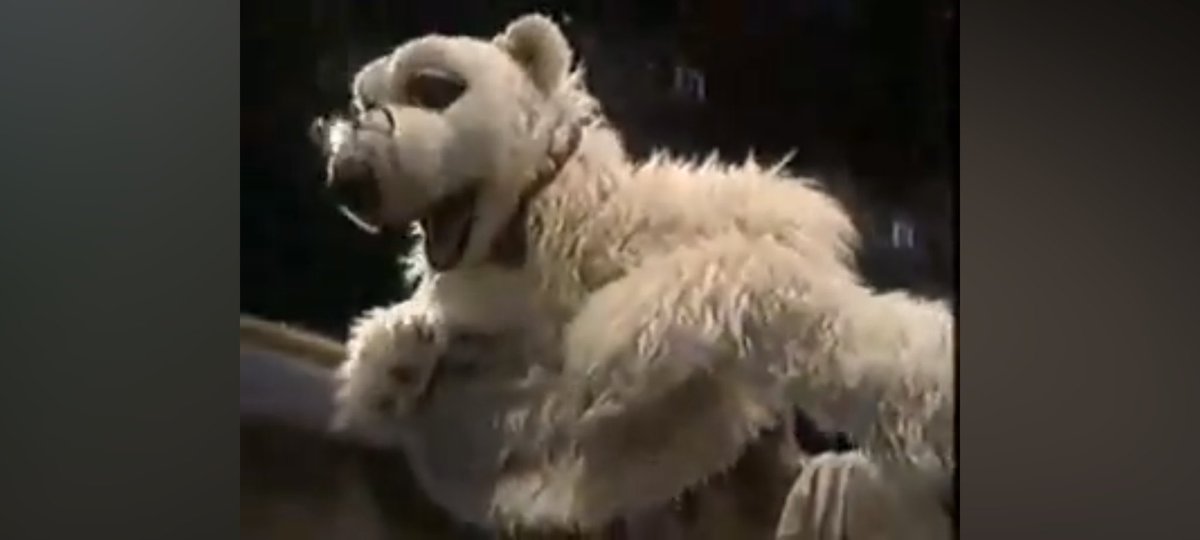 RWalterson's tweet photo. #365Muppets
164. Jake the Polar Bear (The Animal Show) - performed by Steve Whitmire 

The host of the show alongside Stinky the Skunk, Jake is the wise and happy polar bear who, along with Stinky, interviews various animals from around the world and finds out all about them. https://t.co/FgmHKnY6wC