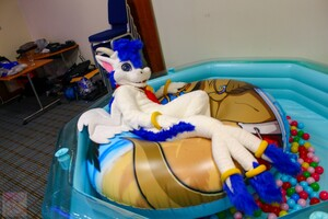 Kitutal's tweet photo. Don't forget to sign up for https://t.co/VK9WcIvPQy over the coming months, we've got to work hard to reclaim the title of largest furry event in the city (again) https://t.co/eID434zcAB