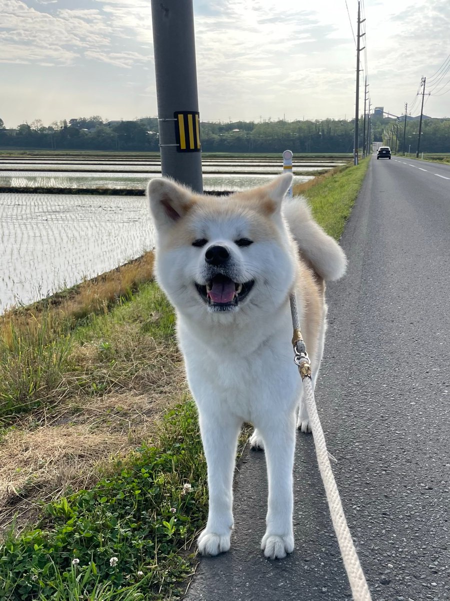 DayTradingDoge2's tweet photo. am i more than you bargained for yet

ive been dying to tell you anything you wanna hear

cuz thats just who i am this week https://t.co/EgcnN8qzAV
