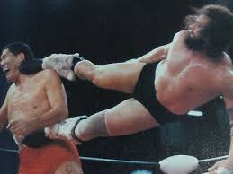 WGMVideo's tweet photo. On June 16, 1982, NWA International Heavyweight Champion Bruiser Brody battled Giant Baba to a double count-out  What else happened in #prowrestling on this date? https://t.co/n3hvJyiTRr https://t.co/L4zmEyXGLO