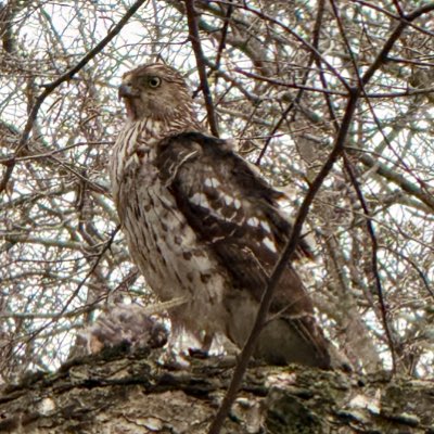 LuddySZN's tweet photo. #NewProfilePic https://t.co/uw3th3c4aN