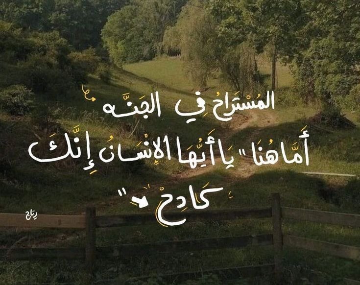haytheemhassan's tweet photo. https://t.co/0JdK5gj4FF