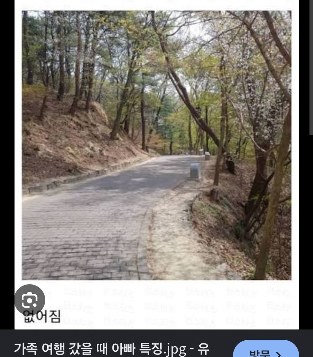 bcbjro's tweet photo. 눟젯 둘다 존나 아빠속성이어서
가족끼리 여행가면 나 두고 ���라짐
개헤매다가 입구에 둘이 딱붙어서 용궁사 지도 보고 있는거 겨우 찾음 https://t.co/EpovKYbACb