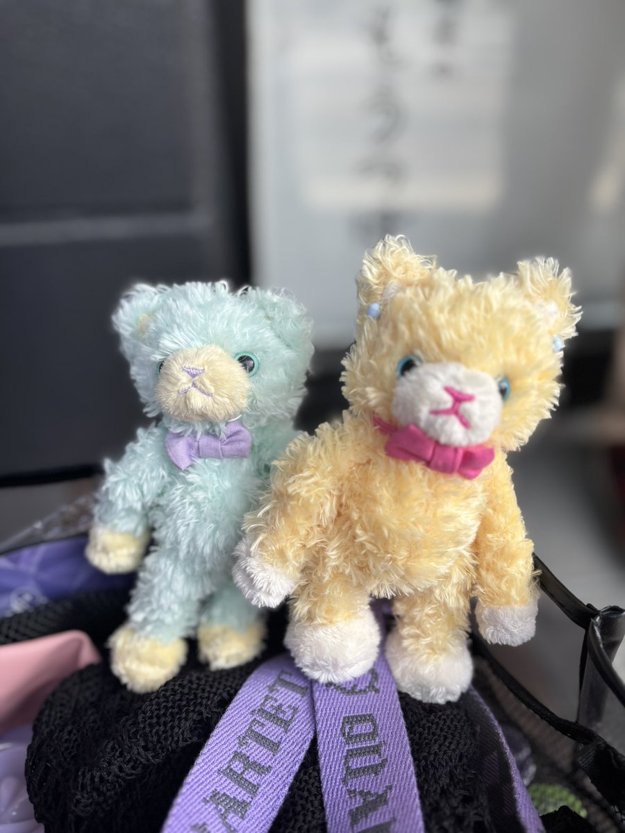 thuna17s's tweet photo. 今回も2人とも連れてきてたよ https://t.co/1KTGXnUVfT