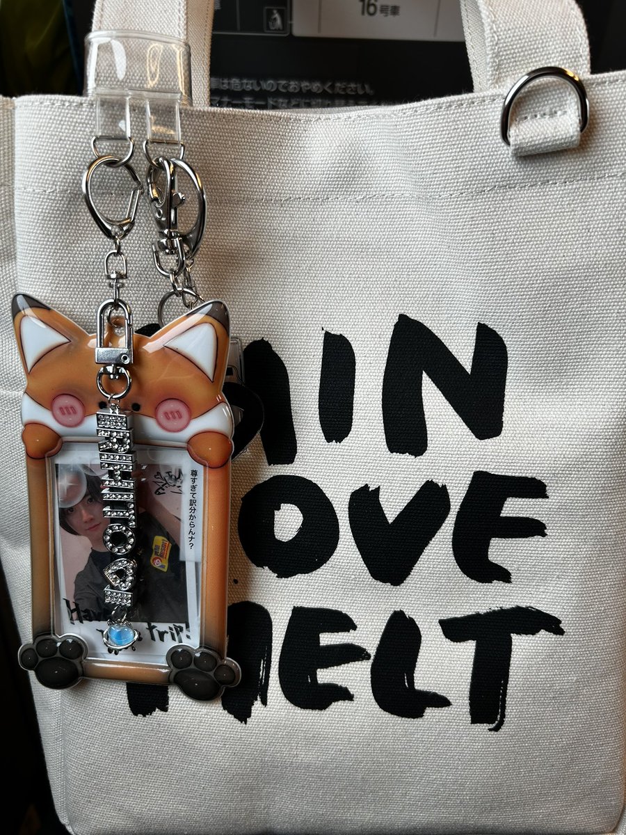 PLM_201218's tweet photo. ついに！総会当日！
このカバン持ってさくらんぼさんと一緒にいると思うので、お会いできるPLMの皆さんお会いしたいです！ https://t.co/BzmacjJ9ZU