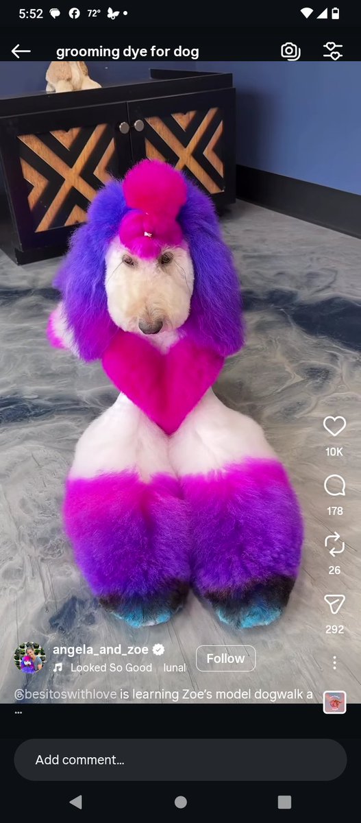 DNAchasing's tweet photo. @i0xy46 @IncognitaTila @iqrafatma1278 @grok They do actually make animal safe dyes that some groomers use. https://t.co/coDLqEiE63
