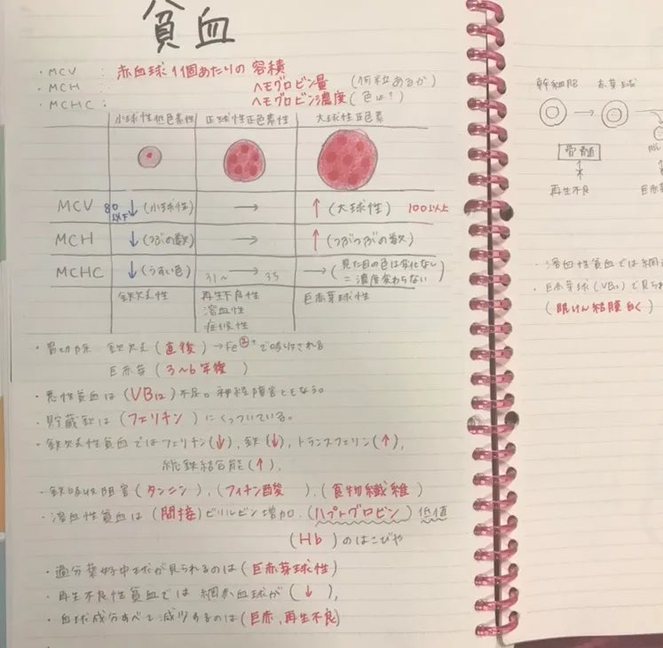 josephken_99's tweet photo. ノートを見返せれるように綺麗にする努力はしてるけど、むずいね😅

どうにも上手くいかんけど前よりかはいい感じに見返すノートにもなってきてる！

ほんまは2枚目以降のようにやりたい！

さぁ…今日も１日頑張ろう。
インプットしやんと月曜のテスト不安😅 https://t.co/EIQEDG6rKF