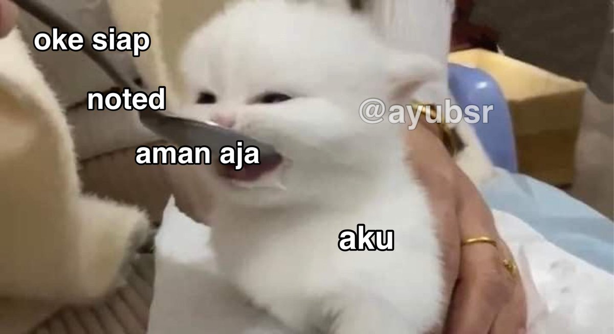 ayubsr's tweet photo. adulting https://t.co/AmbYe6a5dK