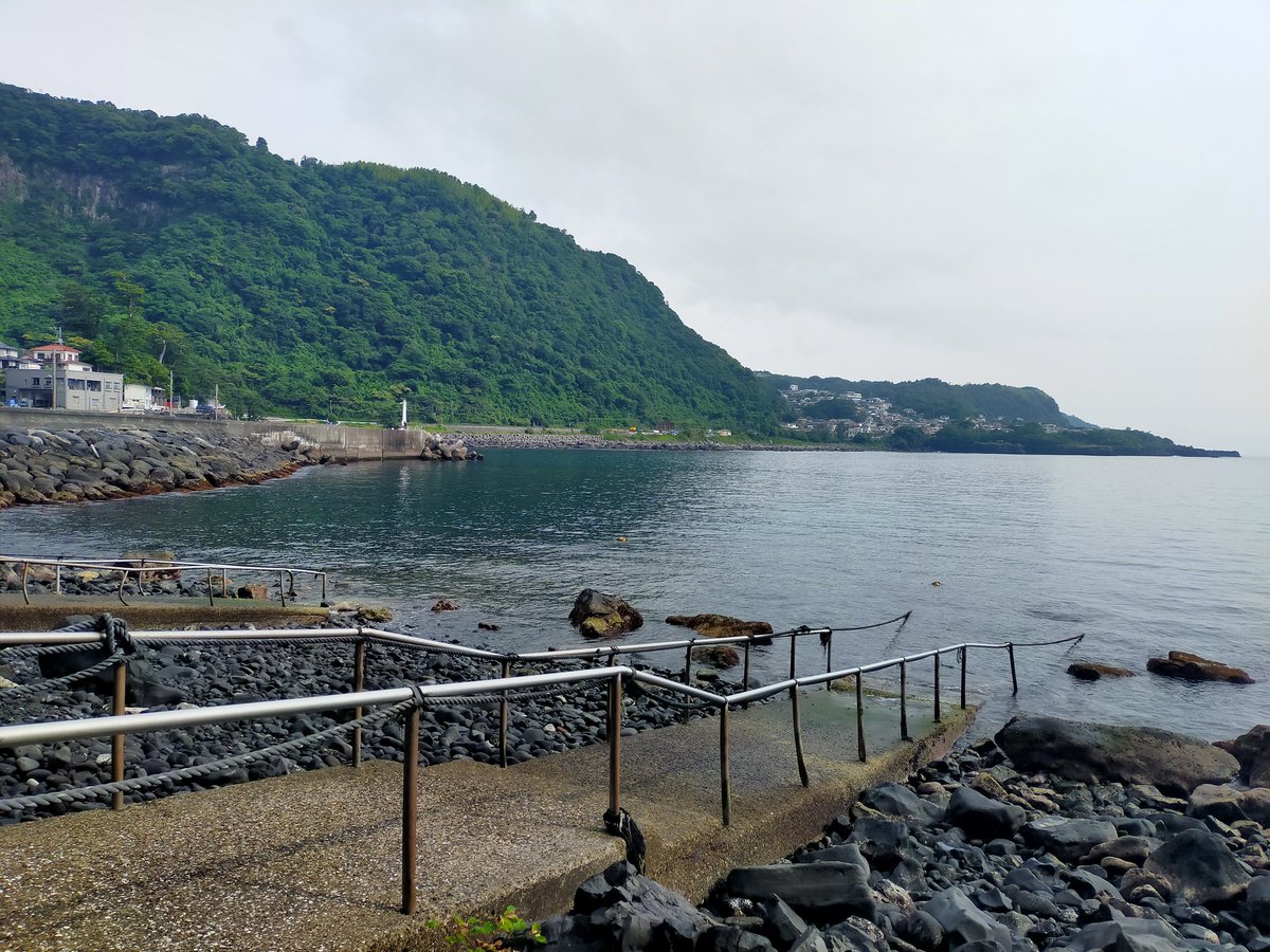 FutoDS's tweet photo. 6/14   (土) 富戸の海【OPEN】

穏やかな海況です！
アオリイカの産卵が好調のようです。

ヨコバマウッドデッキ、ペンキ塗り作業を少しづつ行っています。
ご迷惑をおかけしますがご協力をお願いいたします。

透明度 10〜15m
水温 22〜23℃

※最終エキジット
平日　16:00
土日祝日　16:30 https://t.co/TvQh7q2hUi