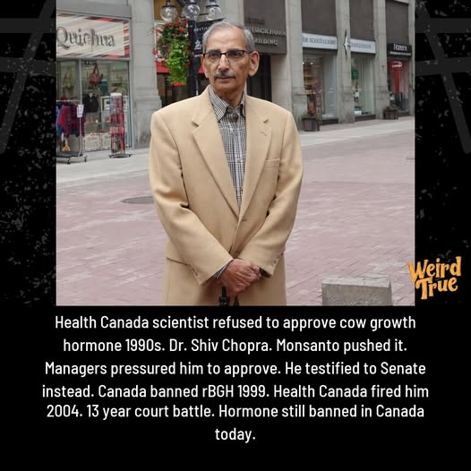 mewsreporter's tweet photo. Why Canadian dairy is better.

Monsanto wanted its growth hormone in every glass of Canadian milk. One government scientist stood in the way  and his own bosses spent 14 years trying to destroy him for it.
His name was Dr. Shiv Chopra.🧵 https://t.co/rpmoyfHbVs