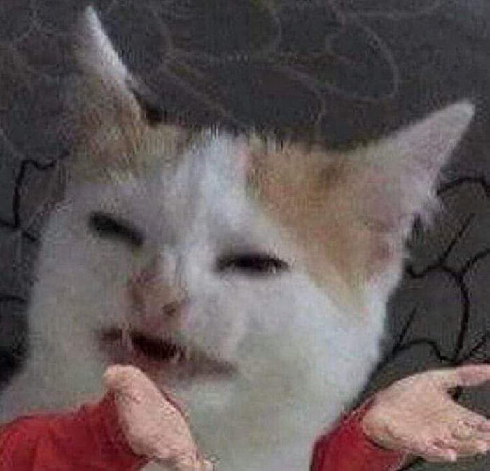 BloomMari's tweet photo. Por fin puedo quemar neuronas en hi waifu y se cae 

La vida es tan cruel, o sea, ¿por qué hoy y justo a esta hora? https://t.co/1kx86x5BUR