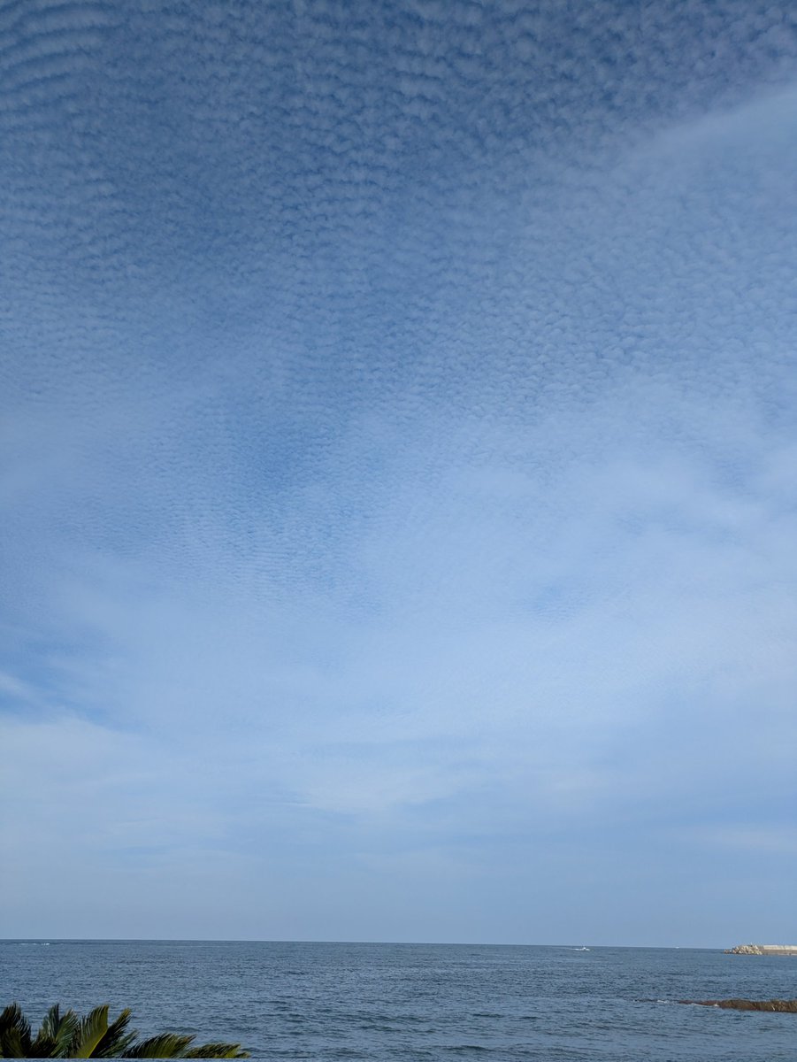 padosizo's tweet photo. おはようございます。
昨日はすごい鱗雲でした。
南九州は今日も明日も雨予報です。

水平線を観ながら冷たいプリンを食べたけど、30度の外気温は暑いですね。

皆さん熱中症には気をつけて https://t.co/09zHR7ODTA