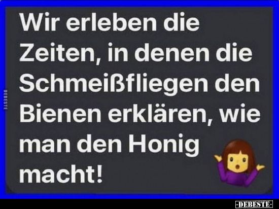 Kttel6's tweet photo. @Mueller_NJ_USA @Asinara252936 https://t.co/rA3Mc5E1AZ