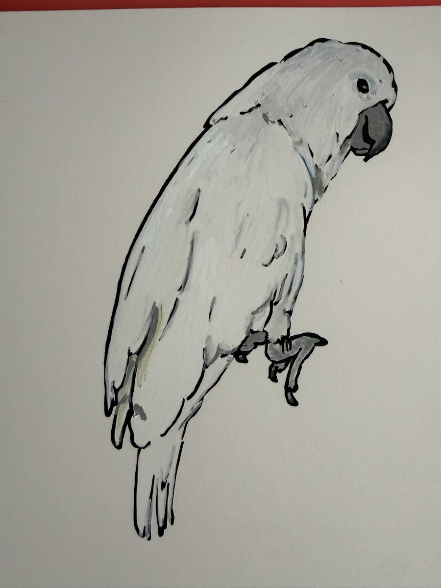tskposcai's tweet photo. この絵で作ってるものがあるので見せるのが楽しみです。いよいよ20日から展示スタートです！bon Atelierさんとの2人展です。私は6月は20(土)、26(金)、28(日)に会場にいます。
富士見台のイルプルセレクト @ilpleut_select にて。金土日のみ開いてます。 https://t.co/myCltJ2bLc